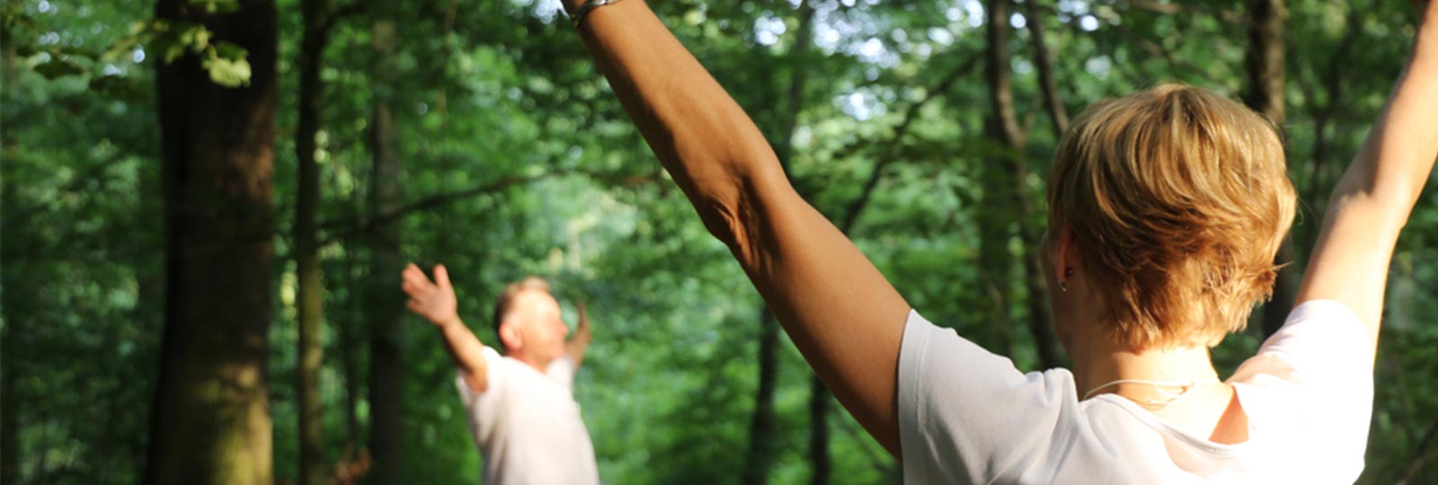 Nature Therapy Mental Health