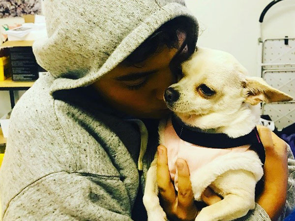 Pet-Therapy Pet-Therapy