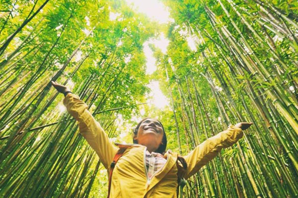 Psychologists-Nature-Therapy Psychologists-Nature-Therapy